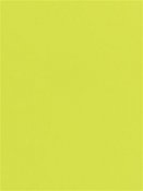 Textkartong fluorescerande gul A4 25 st / förpackning