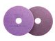 Rondell SCOTCH-BRITE 16' lila