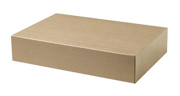 Arkivbox SS628107 för folio brun 255x80x380mm 1 st / förpackning