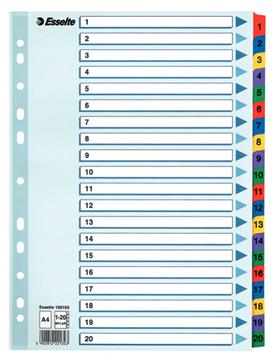 Pärmregister Mylar 1-20 A4 1 st / förpackning