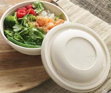 Salladsskål Bagasse 750ml 300 /KRT