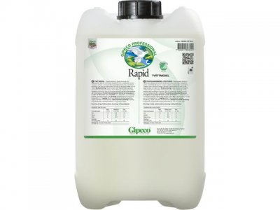 Tvättmedel GIPECO Rapid 10L
