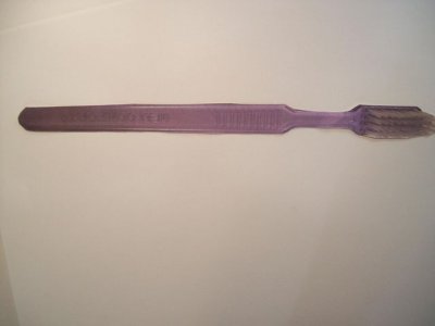 Tandborste engångs utan kräm 100/FP